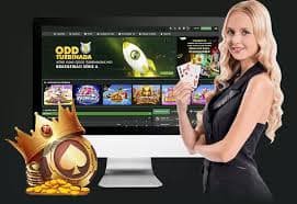 3388bet cassino